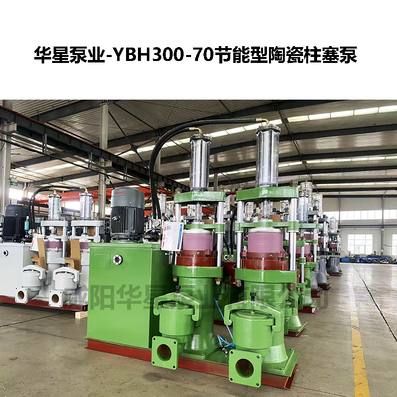 有機(jī)肥污水處理柱塞泵泥漿泵